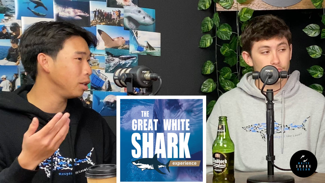 Ryan And Sandor Divemaster Training, The Great White Shark Experience Podcast