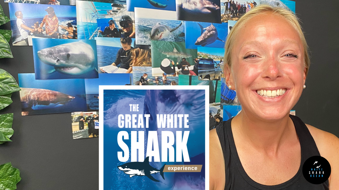 The Great White Shark Experience Podcast, Episode 11 - Caity