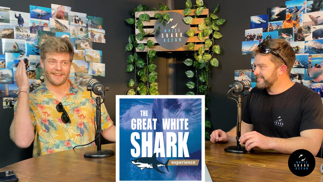 Jean Borchardt,  The Great White Shark Experience Podcast