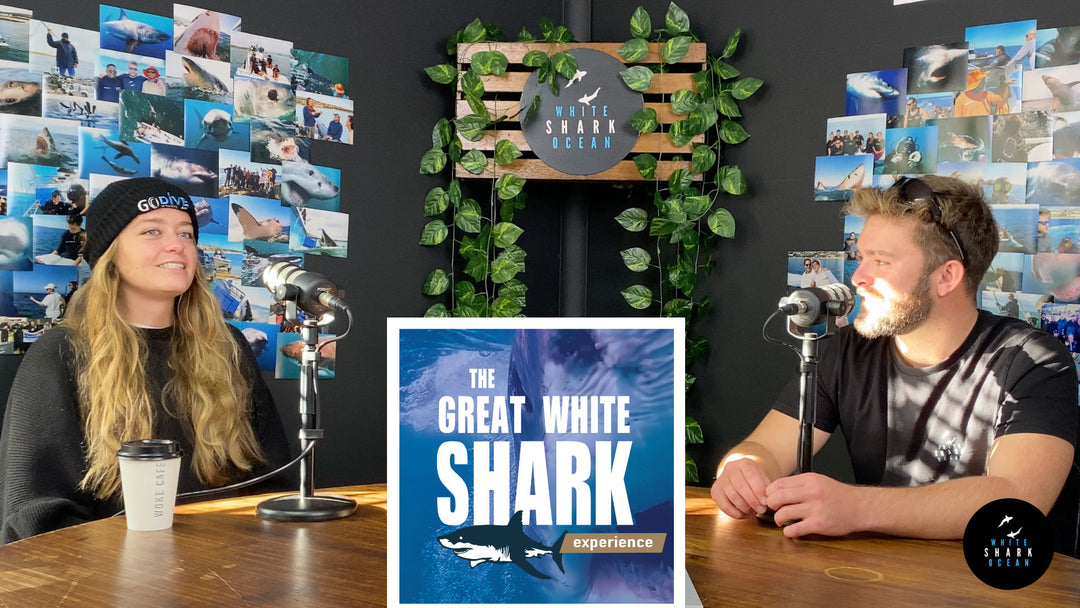 Leigh, Head Scuba Diving Instructor, The Great White Shark Experience Podcast