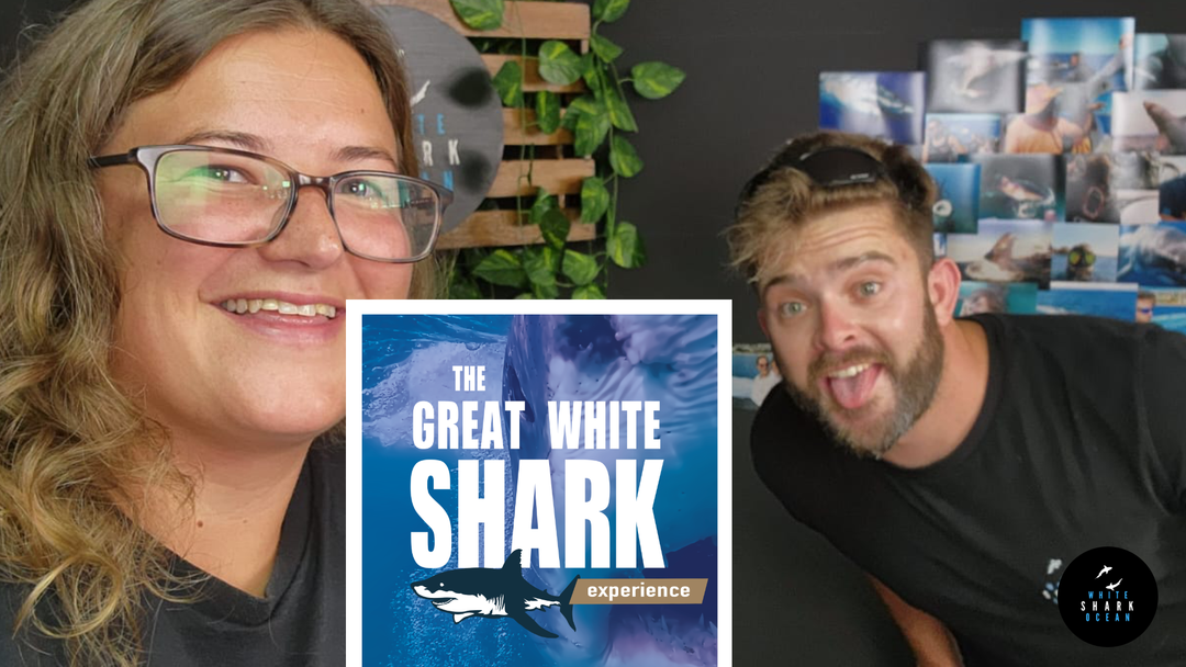 The Great White Shark Experience, Episode 13 - Val Is Back!
