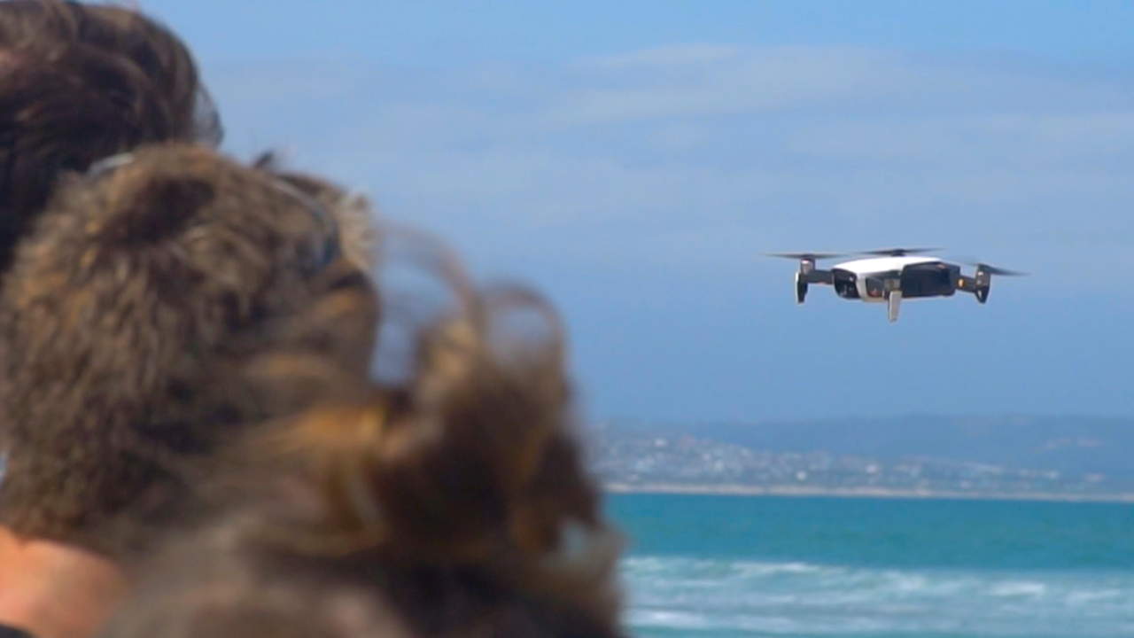 Great White Shark Program, drone survey "white shark ocean"
