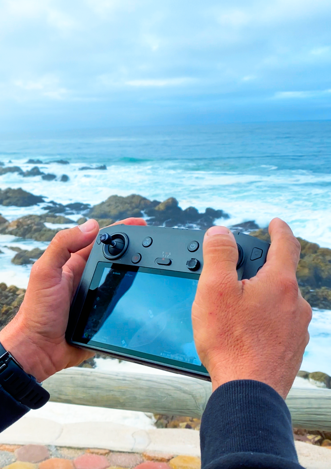 Great White Shark Program, drone survey