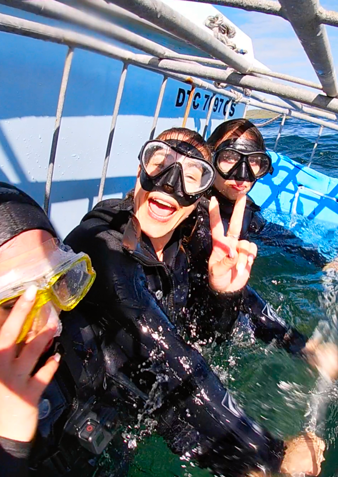 Great White Shark Program, Cage Diving "white shark ocean"