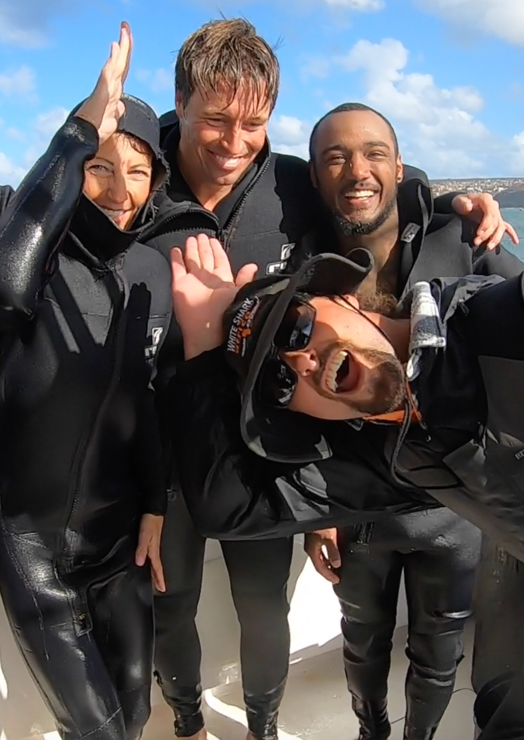 Great White Shark Program, cage diving "white shark ocean"
