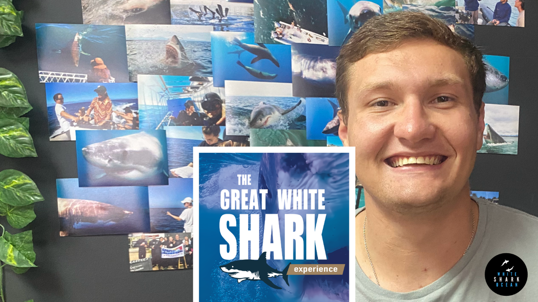 THE GREAT WHITE SHARK EXPERIENCE PODCAST, EPISODE 6 - NICO