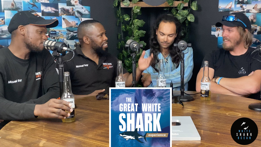 31 Great White Shark Crew, The Great White Shark Experience Podcast