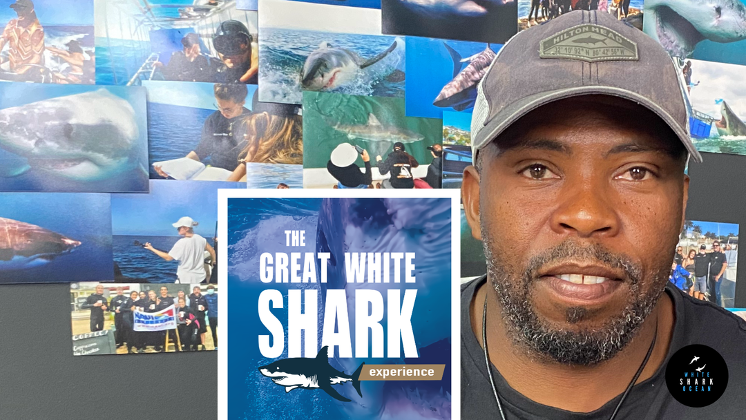 THE GREAT WHITE SHARK EXPERIENCE PODCAST, EPISODE 8 - ALLEN