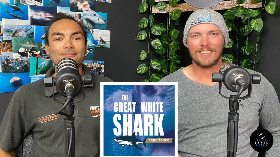 Tony And Conre, The Great White Shark Experience Podcast, Episode 16