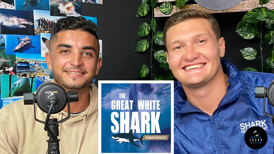 Christiaan And Nico, The Great White Shark Experience Podcast, Episode 17