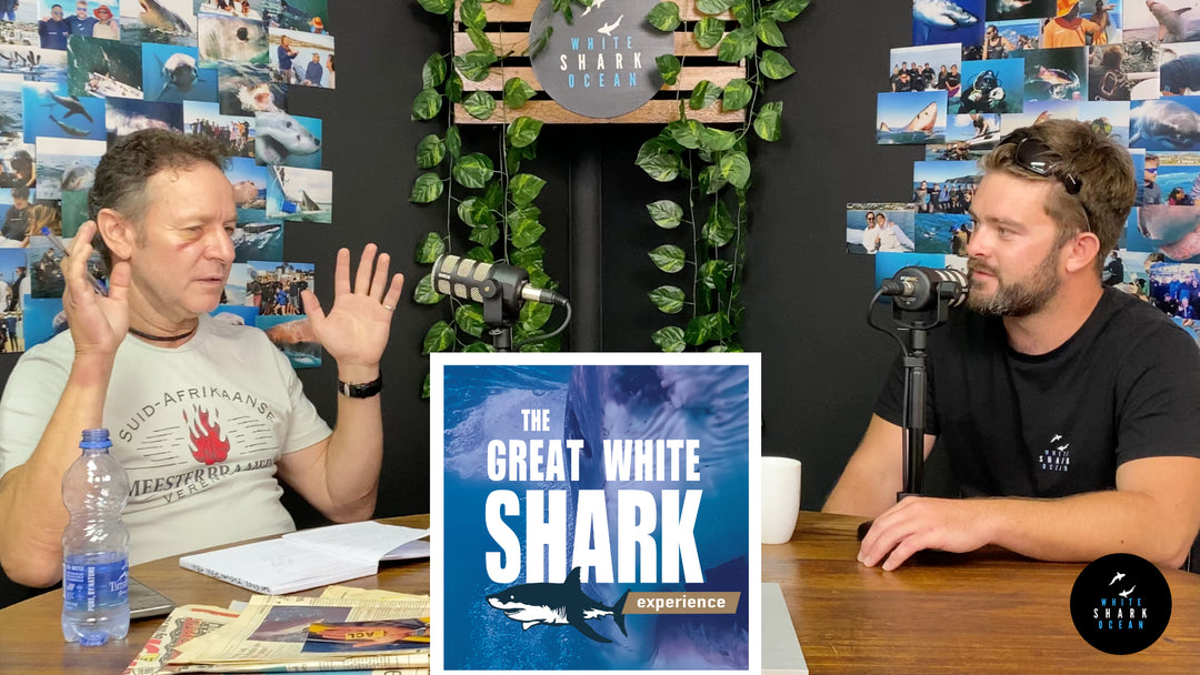 Biggest Great White Sharks, Craig Ferreira, The Great White Shark Experience Podcast