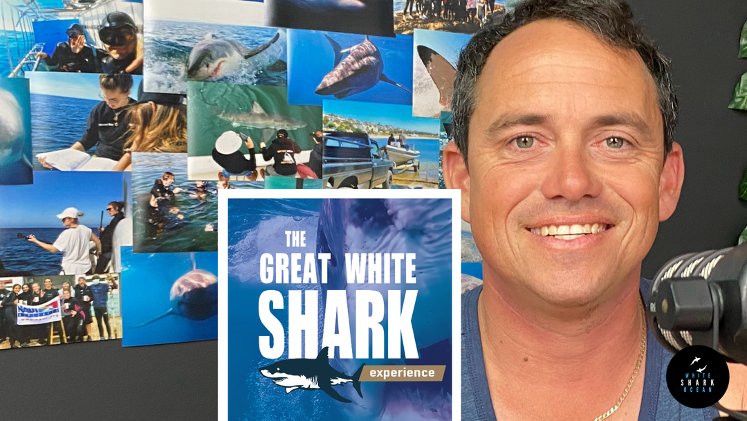 The Great White Shark Experience Podcast, Episode 12 - Elton