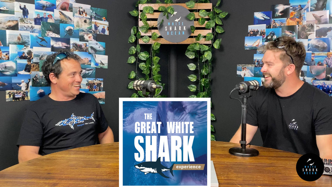 Elton Polly Sardine Run Special, Episode 20, The Great White Shark Experience Podcast