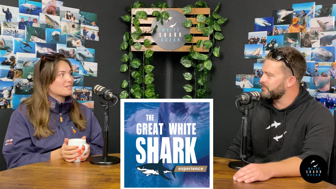 Sasha Dines, The Great White Shark Experience Podcast / White Shark Ocean / Mossel Bay South Africa