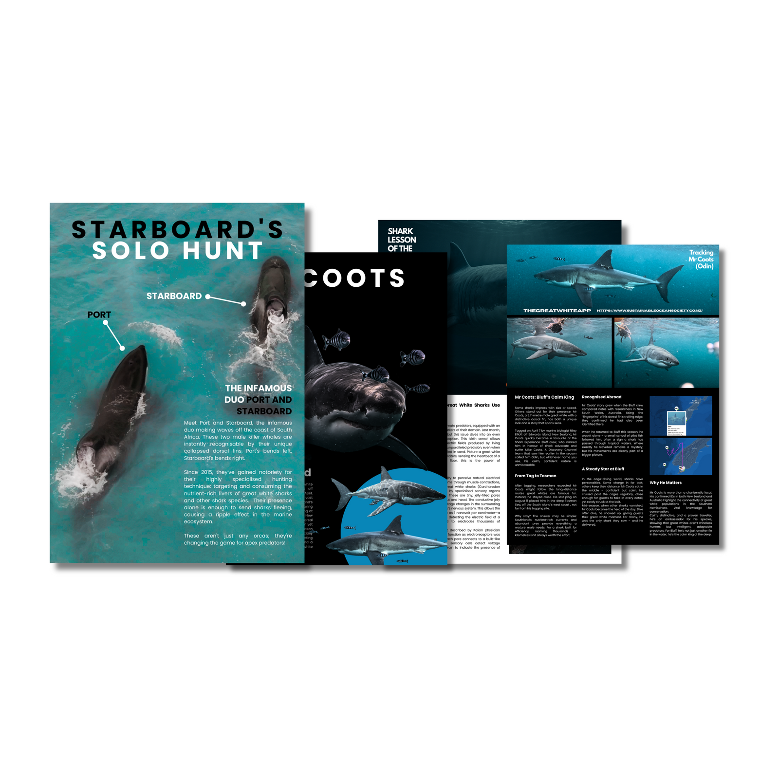 White Shark Ocean Downloadable Magazine Volume 2