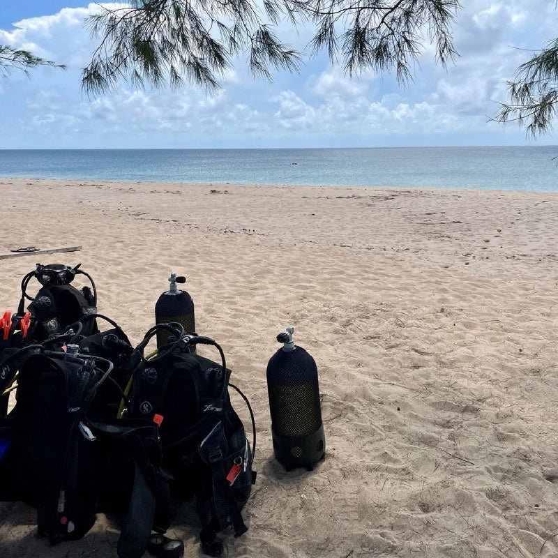 Ilha Do Fogo Scuba Diving Adventure, Mozambique, Fire Island Conservation, White Shark Ocean Expeditions