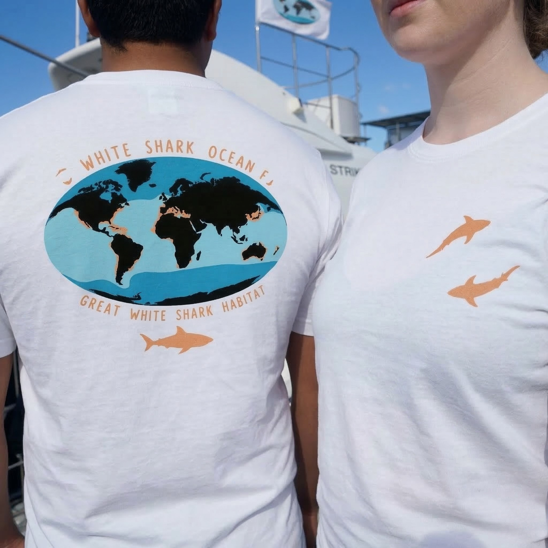 Shark Week 2026: Full Schedule, Top Shows and the Real Science | White ...