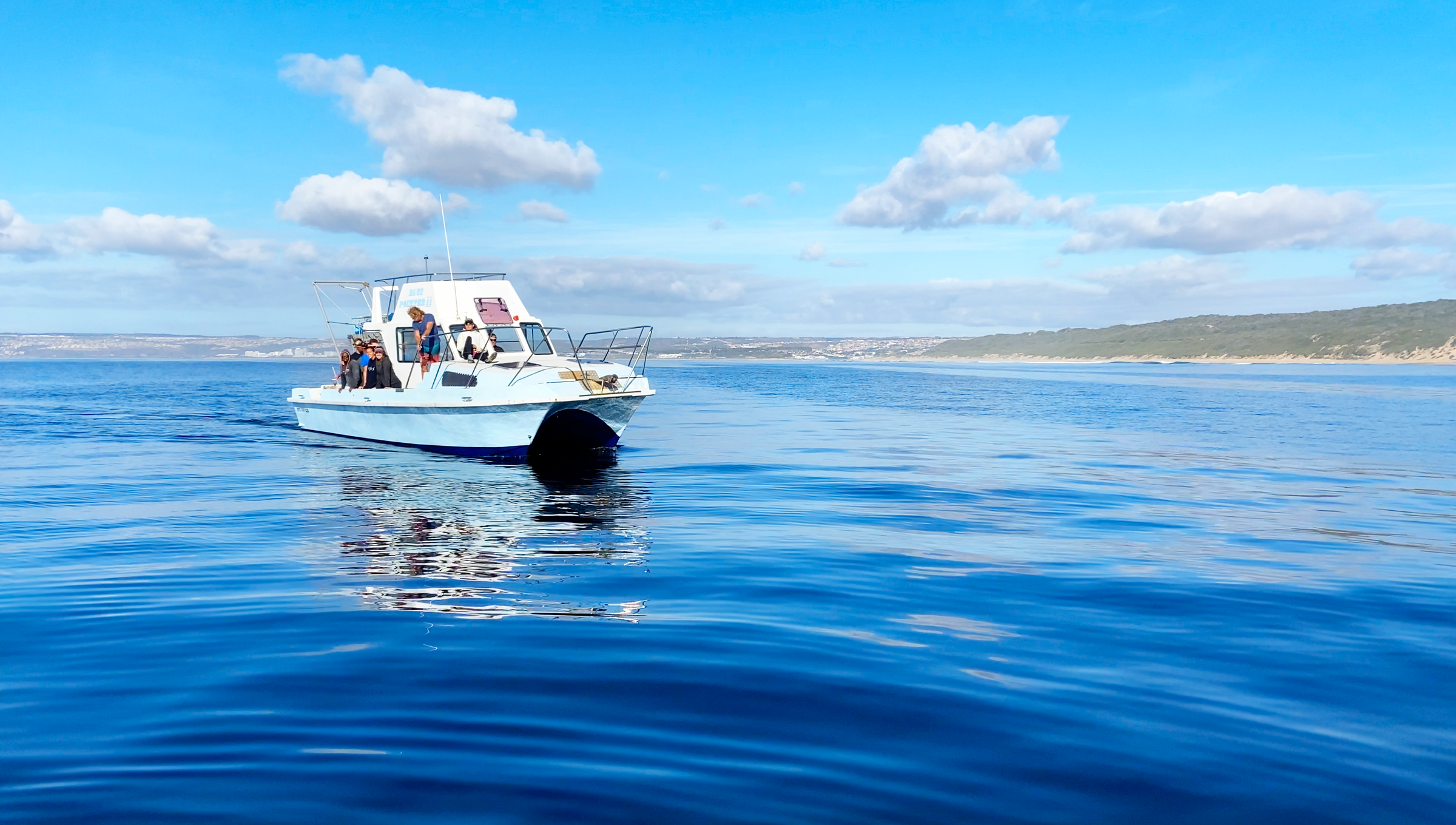 Great White Shark Boat