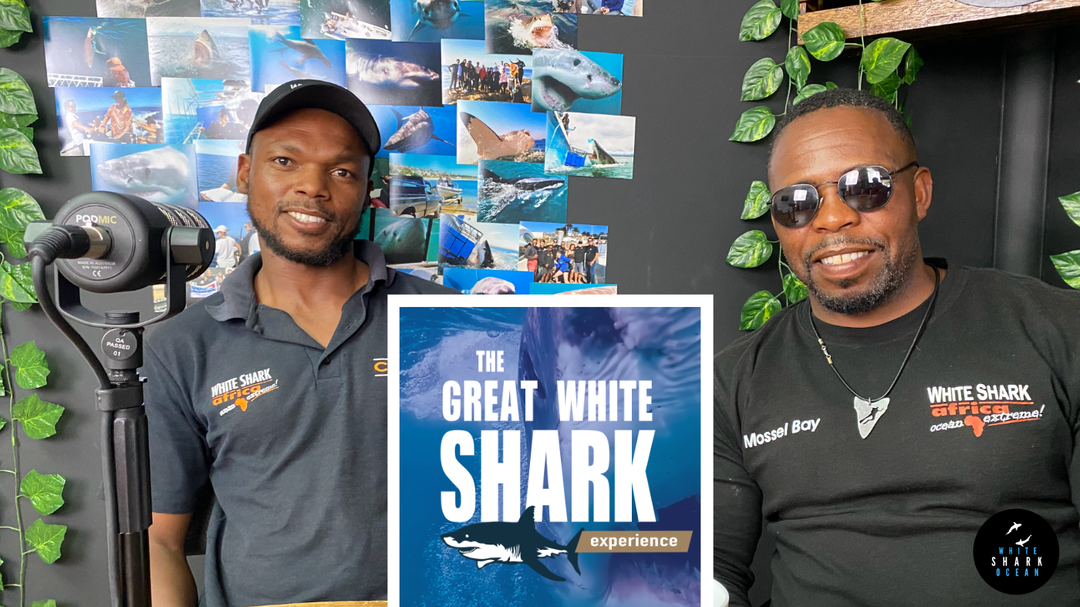 The Great White Shark Experience Podcast, Episode 1 - Eric And Allen