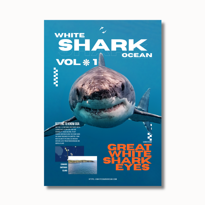 white shark ocean digital magazine cover