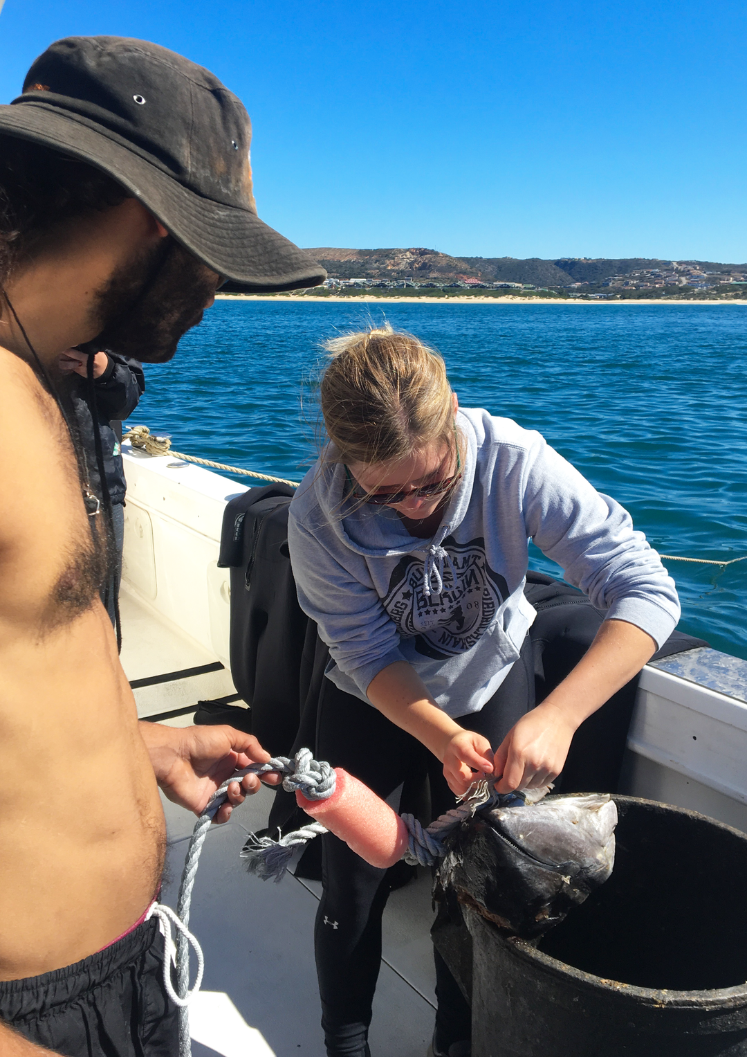 Great White Shark Program, shark crew "white shark ocean"