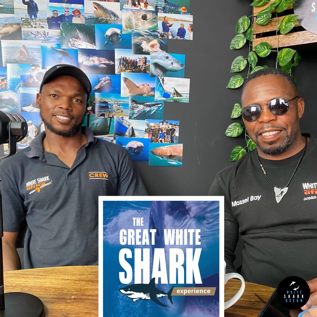 The Great White Shark Experience Podcast