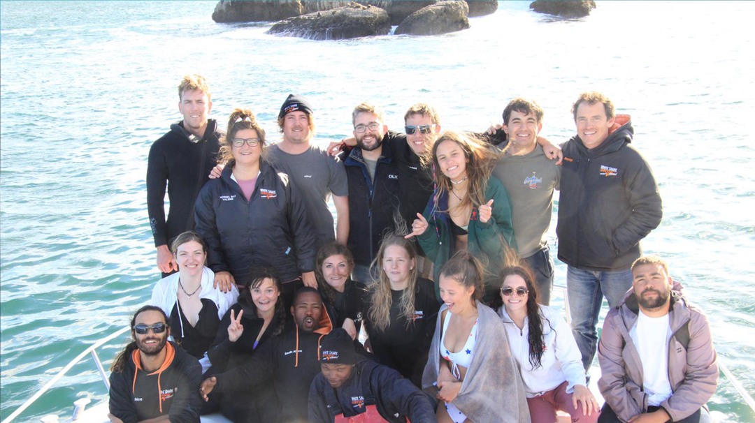 Great White Shark Program, interns "white shark ocean"