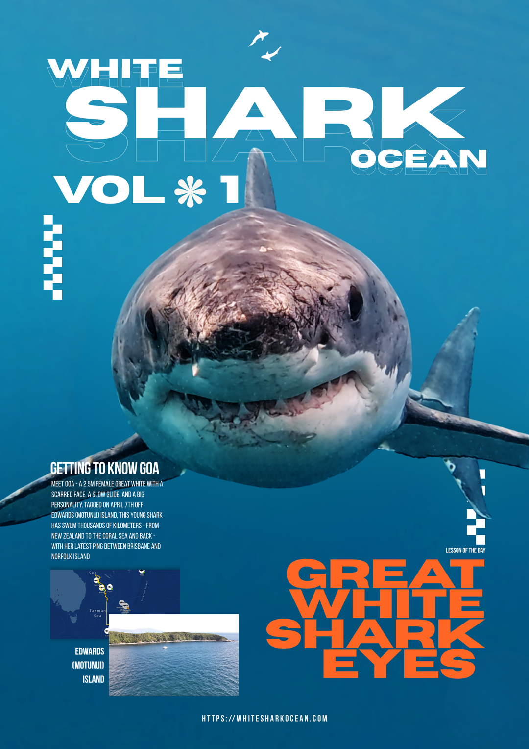 white shark ocean digital magazine cover