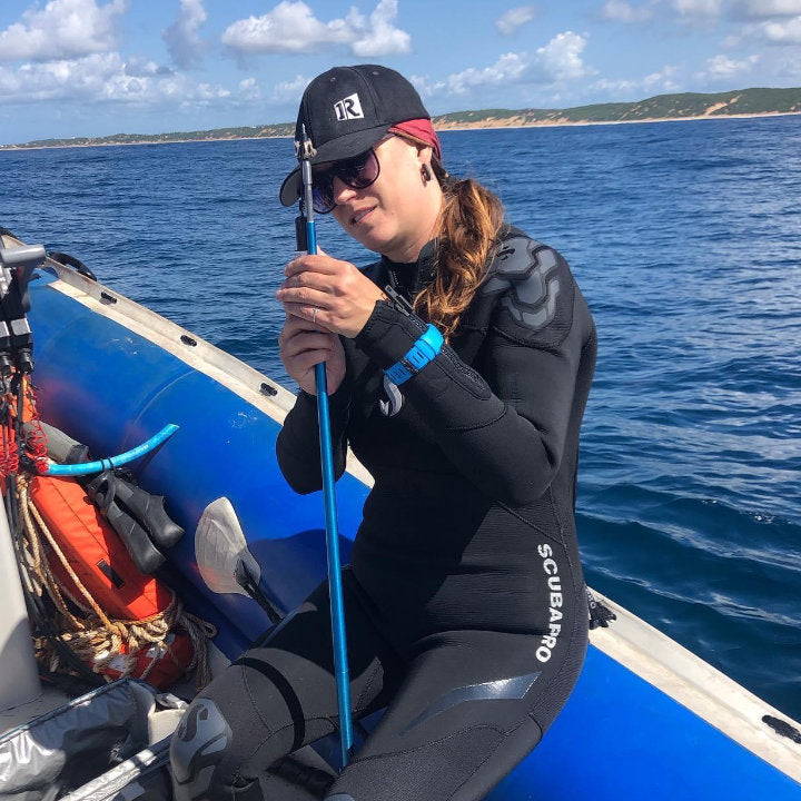 MAR Expeditions Internship Program, Marine Research, Manta Rays, White Shark Ocean 